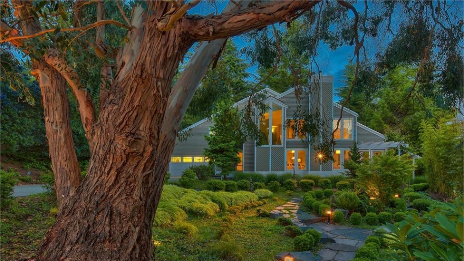 Hawaiian contemporary house